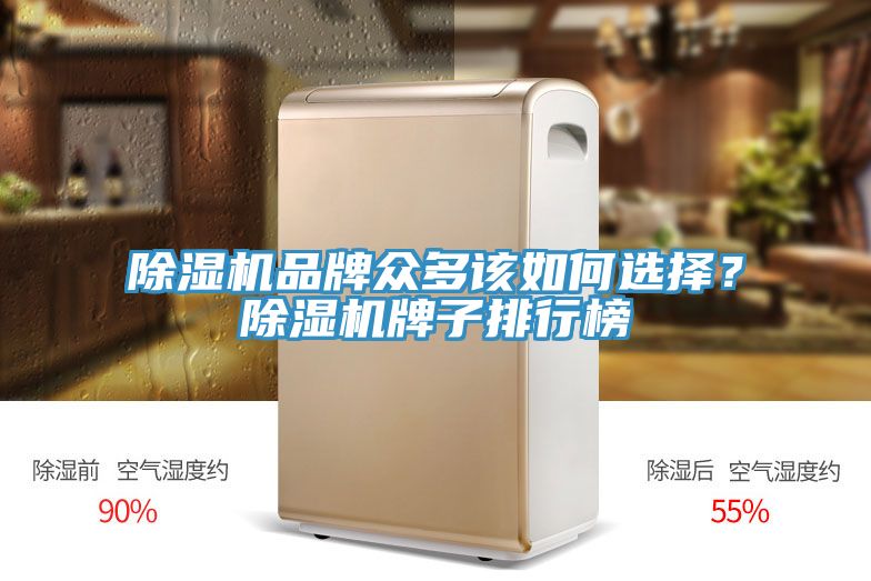 除濕機(jī)品牌眾多該如何選擇？除濕機(jī)牌子排行榜