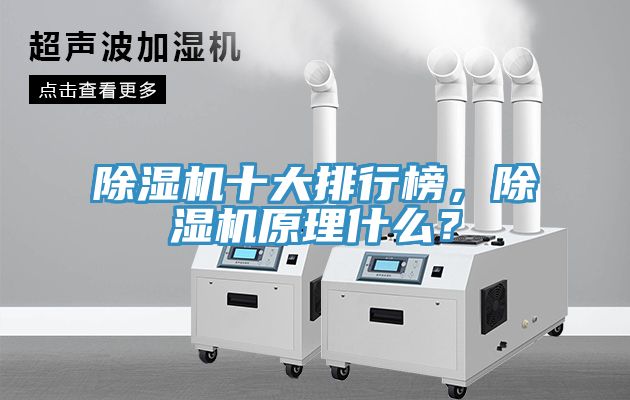 除濕機(jī)十大排行榜，除濕機(jī)原理什么？
