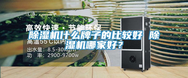 除濕機(jī)什么牌子的比較好 除濕機(jī)哪家好？