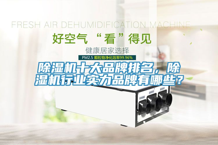 除濕機(jī)十大品牌排名，除濕機(jī)行業(yè)實(shí)力品牌有哪些？