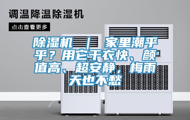 除濕機 ｜ 家里潮乎乎？用它干衣快、顏值高、超安靜，梅雨天也不愁