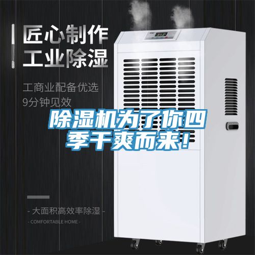 除濕機(jī)為了你四季干爽而來(lái)！