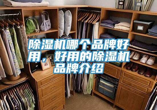 除濕機哪個品牌好用，好用的除濕機品牌介紹