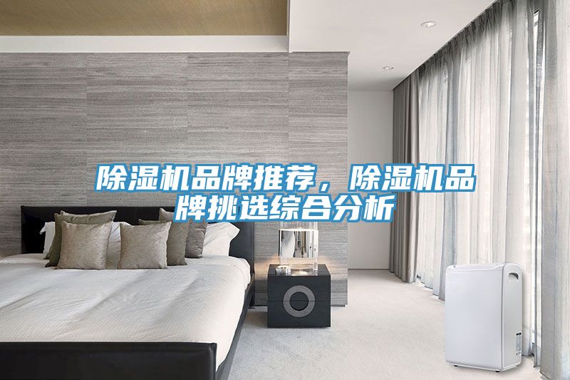 除濕機(jī)品牌推薦，除濕機(jī)品牌挑選綜合分析