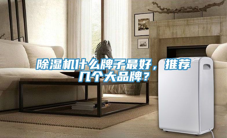 除濕機(jī)什么牌子最好，推薦幾個(gè)大品牌？
