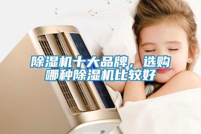 除濕機(jī)十大品牌，選購(gòu)哪種除濕機(jī)比較好