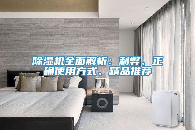除濕機(jī)全面解析：利弊、正確使用方式、精品推薦