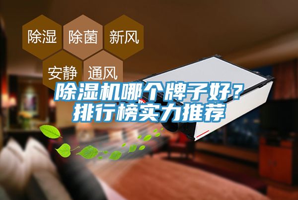 除濕機(jī)哪個(gè)牌子好？排行榜實(shí)力推薦