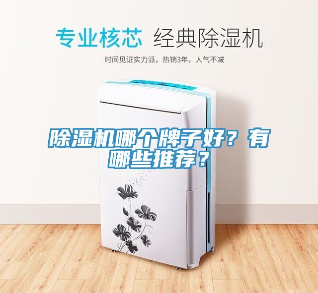 除濕機(jī)哪個(gè)牌子好？有哪些推薦？