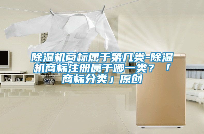 除濕機(jī)商標(biāo)屬于第幾類-除濕機(jī)商標(biāo)注冊屬于哪一類？「商標(biāo)分類」原創(chuàng)