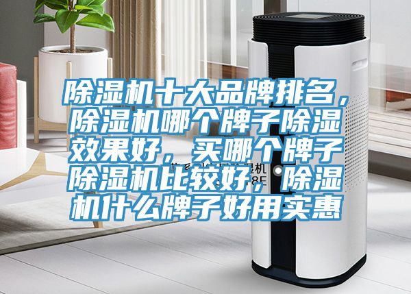 除濕機(jī)十大品牌排名，除濕機(jī)哪個(gè)牌子除濕效果好，買(mǎi)哪個(gè)牌子除濕機(jī)比較好，除濕機(jī)什么牌子好用實(shí)惠