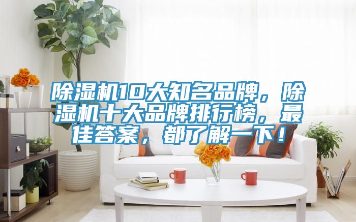 除濕機(jī)10大知名品牌，除濕機(jī)十大品牌排行榜，最佳答案，都了解一下！