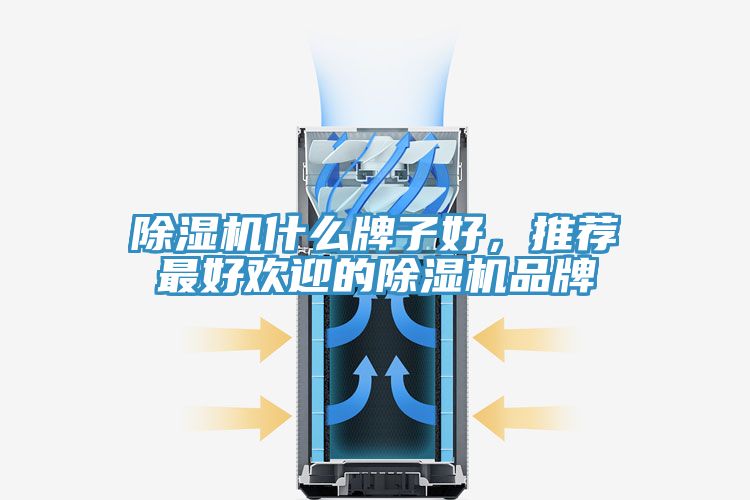 除濕機(jī)什么牌子好，推薦最好歡迎的除濕機(jī)品牌