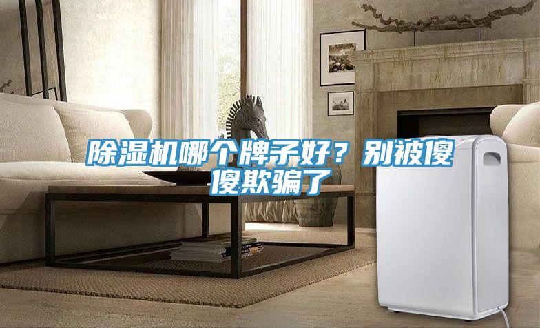 除濕機(jī)哪個(gè)牌子好？別被傻傻欺騙了