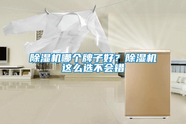 除濕機(jī)哪個(gè)牌子好？除濕機(jī)這么選不會(huì)錯(cuò)