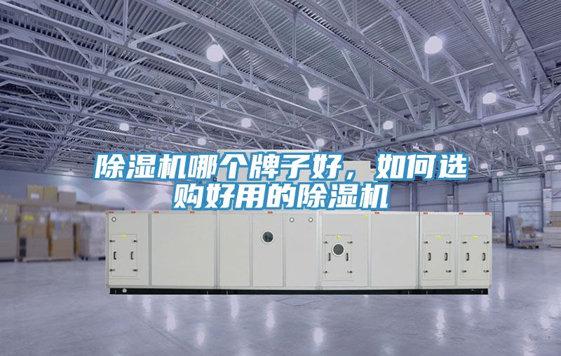 除濕機(jī)哪個(gè)牌子好，如何選購(gòu)好用的除濕機(jī)