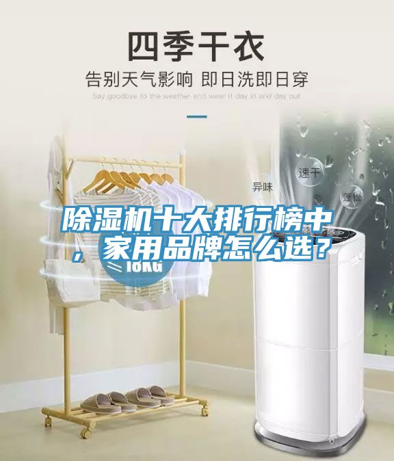 除濕機(jī)十大排行榜中，家用品牌怎么選？