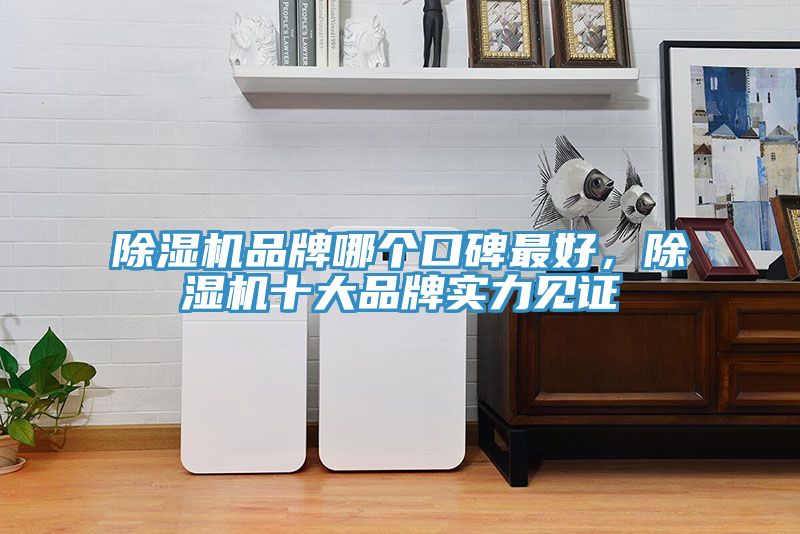 除濕機(jī)品牌哪個口碑最好，除濕機(jī)十大品牌實力見證