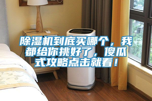 除濕機(jī)到底買哪個(gè)，我都給你挑好了，傻瓜式攻略點(diǎn)擊就看！