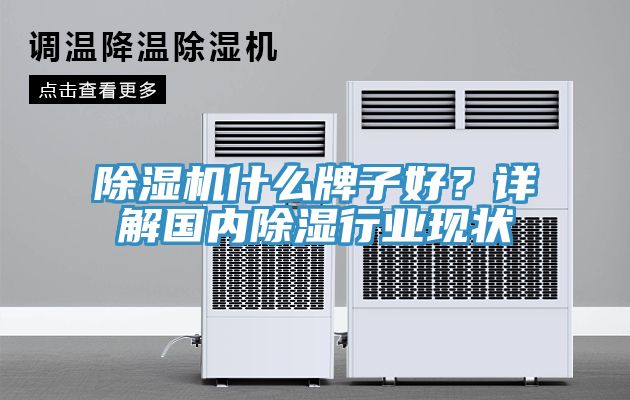 除濕機(jī)什么牌子好？詳解國(guó)內(nèi)除濕行業(yè)現(xiàn)狀