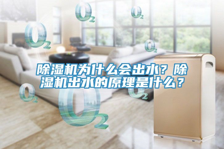 除濕機(jī)為什么會(huì)出水？除濕機(jī)出水的原理是什么？