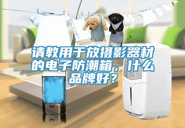 請(qǐng)教用于放攝影器材的電子防潮箱，什么品牌好？