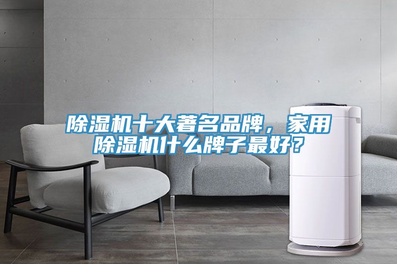 除濕機(jī)十大著名品牌，家用除濕機(jī)什么牌子最好？