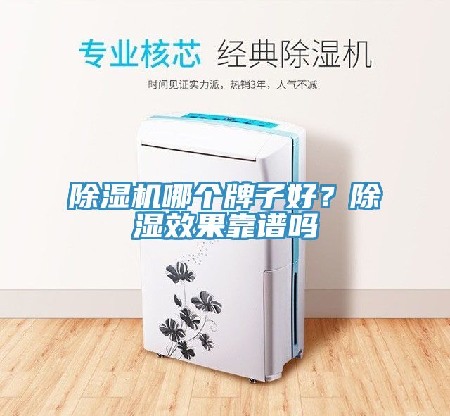 除濕機(jī)哪個(gè)牌子好？除濕效果靠譜嗎