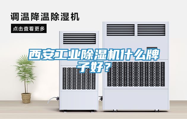 西安工業(yè)除濕機(jī)什么牌子好？