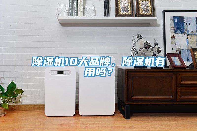 除濕機(jī)10大品牌，除濕機(jī)有用嗎？