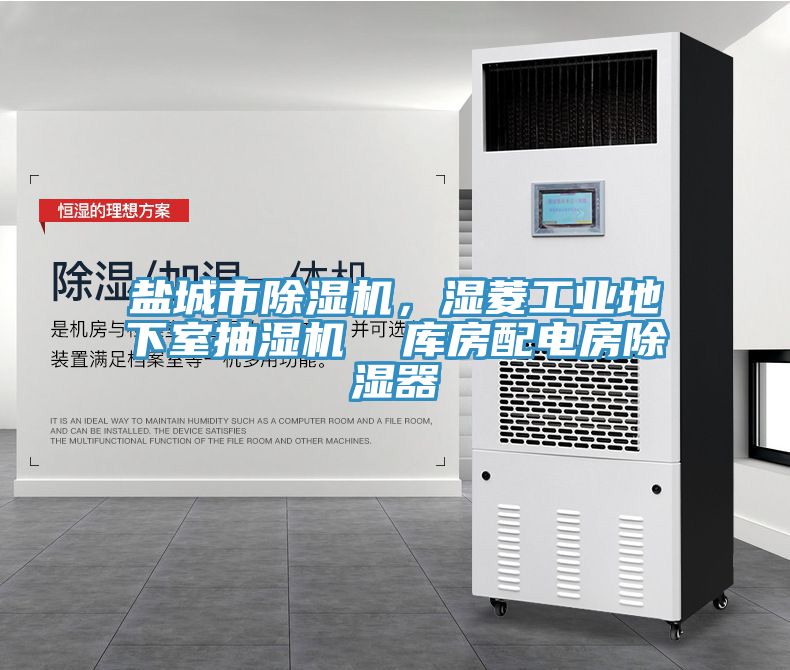 鹽城市除濕機，濕菱工業(yè)地下室抽濕機  庫房配電房除濕器