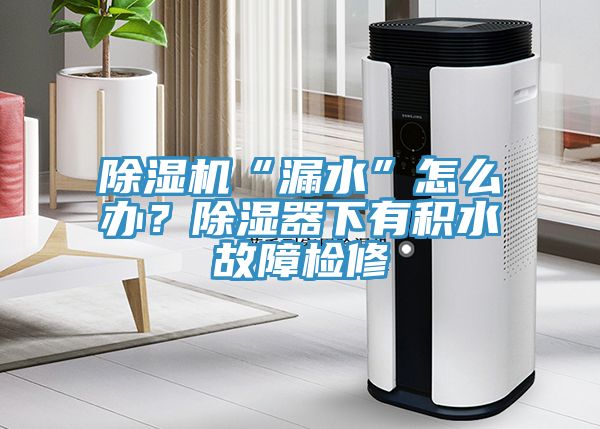 除濕機“漏水”怎么辦？除濕器下有積水故障檢修
