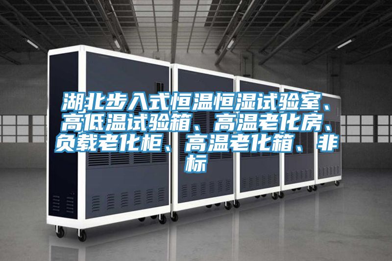 湖北步入式恒溫恒濕試驗室、高低溫試驗箱、高溫老化房、負(fù)載老化柜、高溫老化箱、非標(biāo)