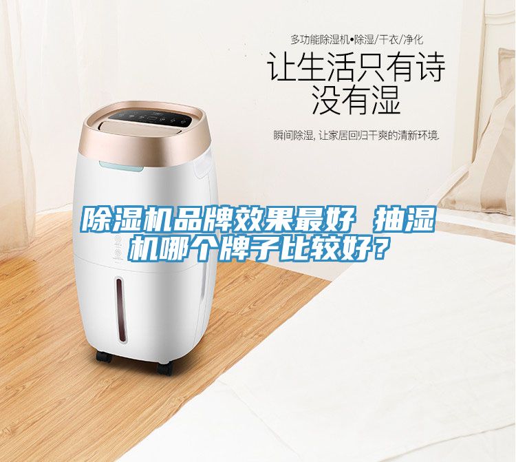 除濕機(jī)品牌效果最好 抽濕機(jī)哪個牌子比較好？