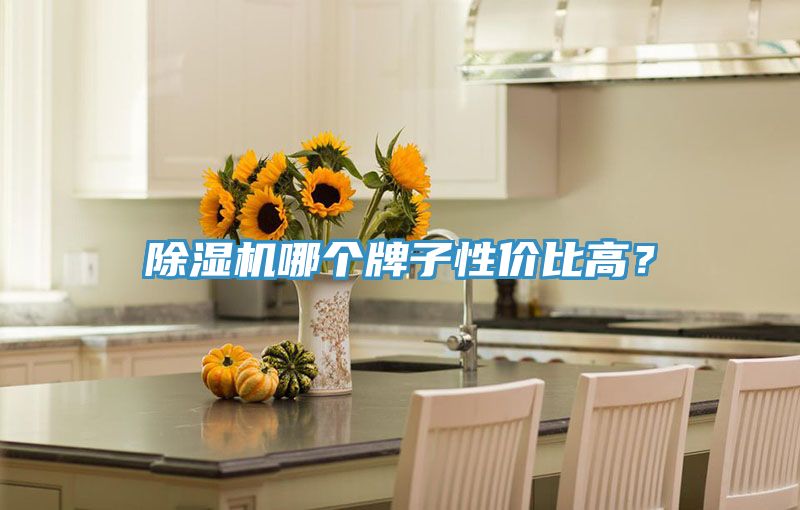 除濕機(jī)哪個(gè)牌子性價(jià)比高？