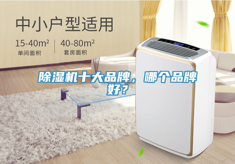 除濕機(jī)十大品牌，哪個(gè)品牌好？