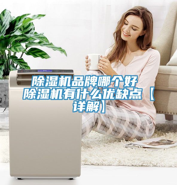 除濕機(jī)品牌哪個好 除濕機(jī)有什么優(yōu)缺點【詳解】