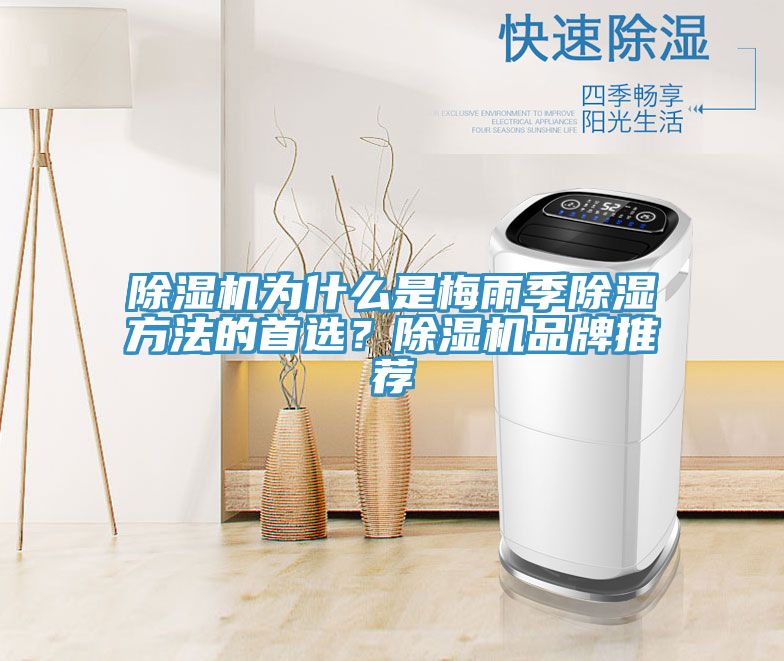 除濕機為什么是梅雨季除濕方法的首選？除濕機品牌推薦