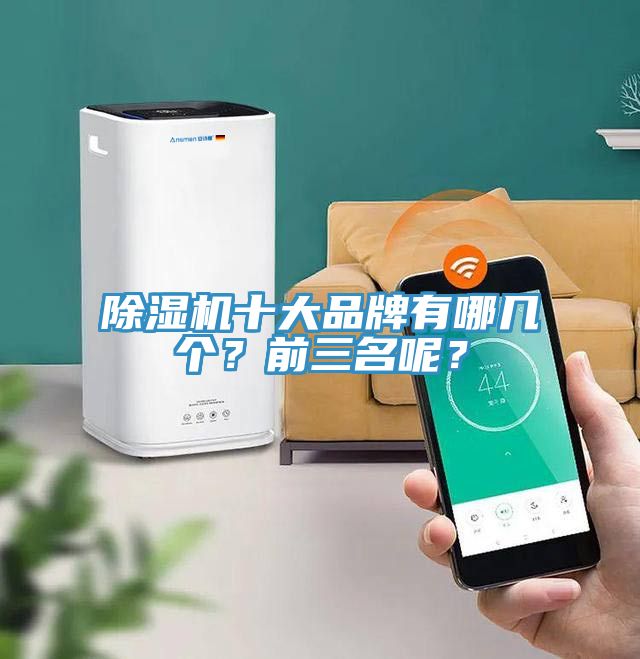 除濕機(jī)十大品牌有哪幾個(gè)？前三名呢？