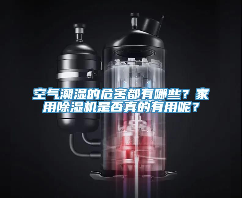 空氣潮濕的危害都有哪些？家用除濕機(jī)是否真的有用呢？
