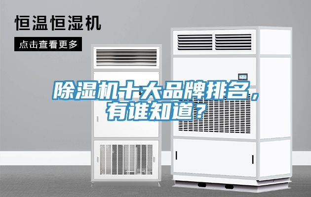 除濕機(jī)十大品牌排名，有誰(shuí)知道？