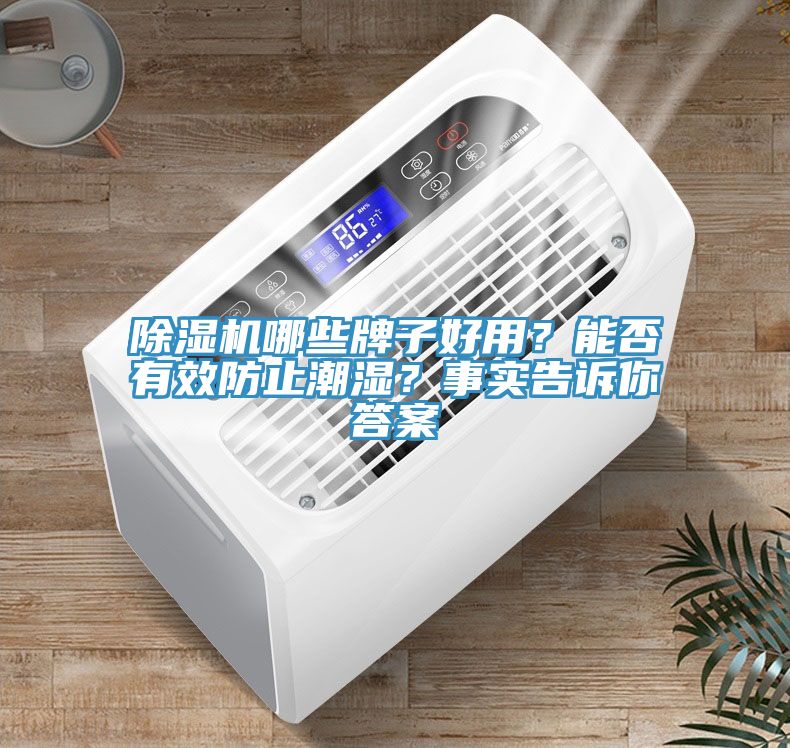 除濕機(jī)哪些牌子好用？能否有效防止潮濕？事實(shí)告訴你答案