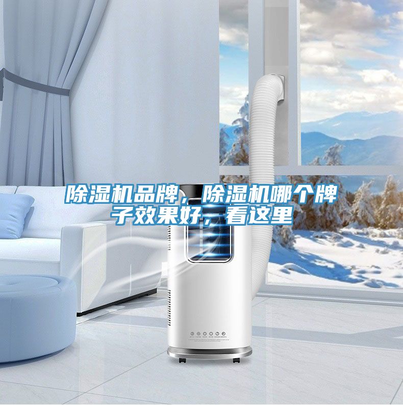 除濕機(jī)品牌，除濕機(jī)哪個(gè)牌子效果好，看這里