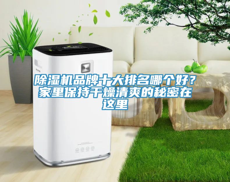 除濕機品牌十大排名哪個好？家里保持干燥清爽的秘密在這里