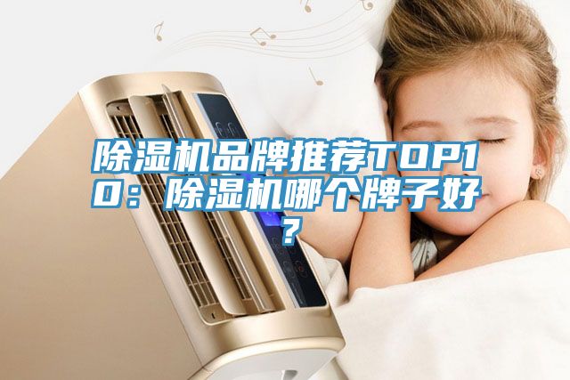 除濕機(jī)品牌推薦TOP10：除濕機(jī)哪個牌子好？