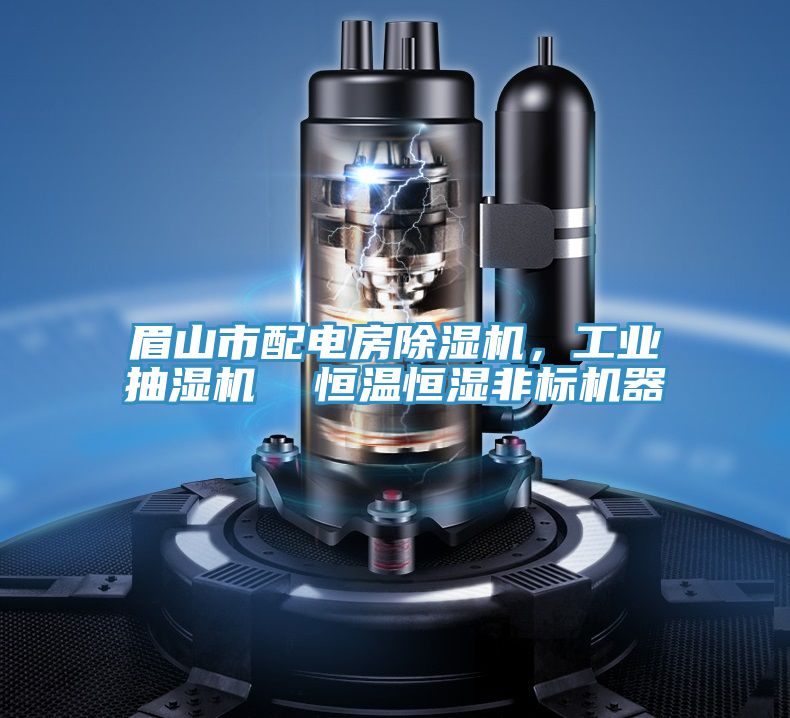 眉山市配電房除濕機(jī)，工業(yè)抽濕機(jī)  恒溫恒濕非標(biāo)機(jī)器