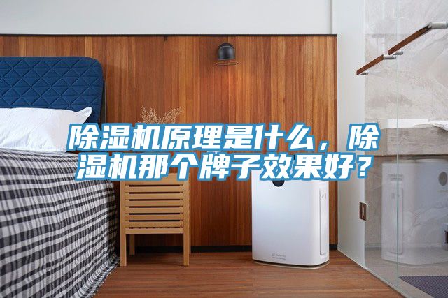 除濕機(jī)原理是什么，除濕機(jī)那個牌子效果好？