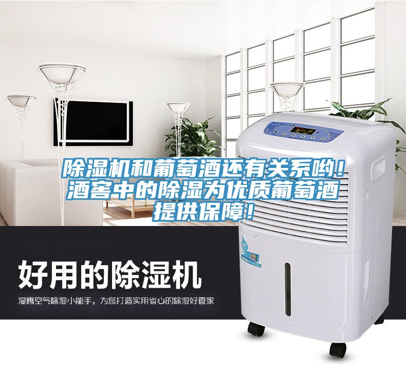 除濕機(jī)和葡萄酒還有關(guān)系喲！酒窖中的除濕為優(yōu)質(zhì)葡萄酒提供保障！