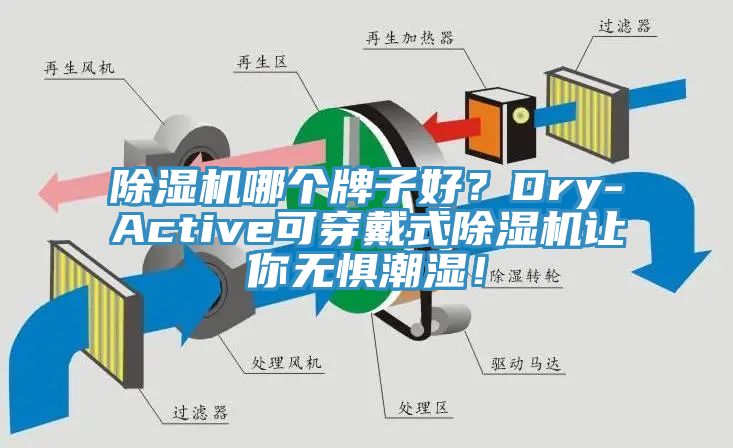 除濕機(jī)哪個(gè)牌子好？Dry-Active可穿戴式除濕機(jī)讓你無懼潮濕！