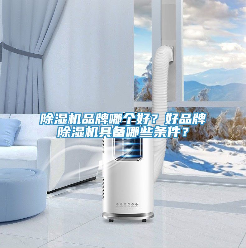 除濕機品牌哪個好？好品牌除濕機具備哪些條件？